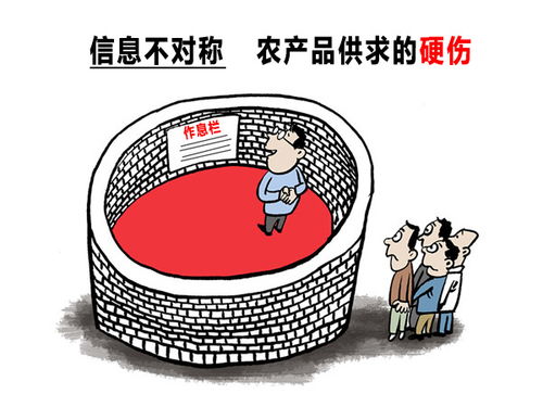 信息對(duì)稱(chēng) 農(nóng)村電商與互聯(lián)網(wǎng)銷(xiāo)售的必行之路